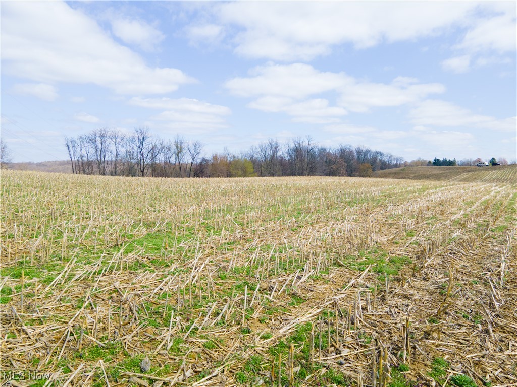 Norfield Road, New Concord, Ohio image 9