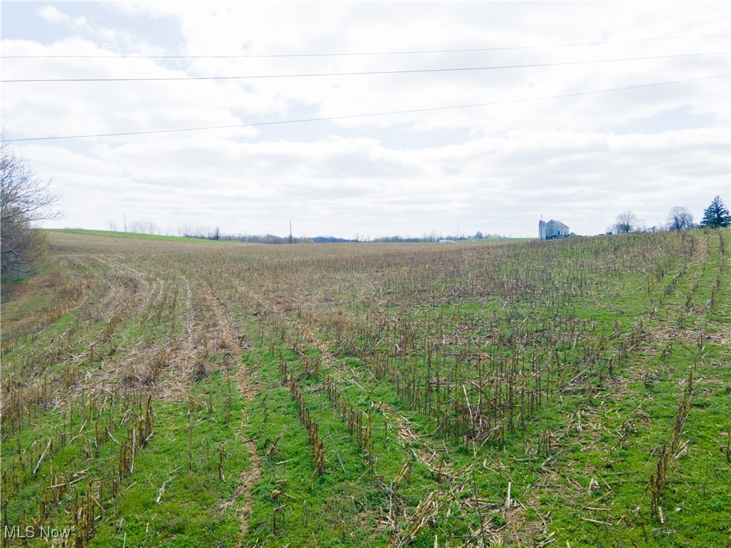 Norfield Road, New Concord, Ohio image 14