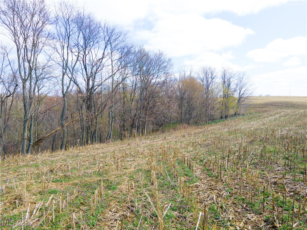 Norfield Road, New Concord, Ohio image 15