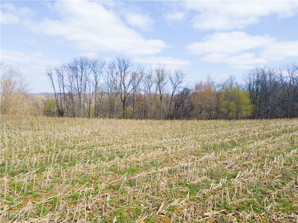 Norfield Road, New Concord, Ohio image 11