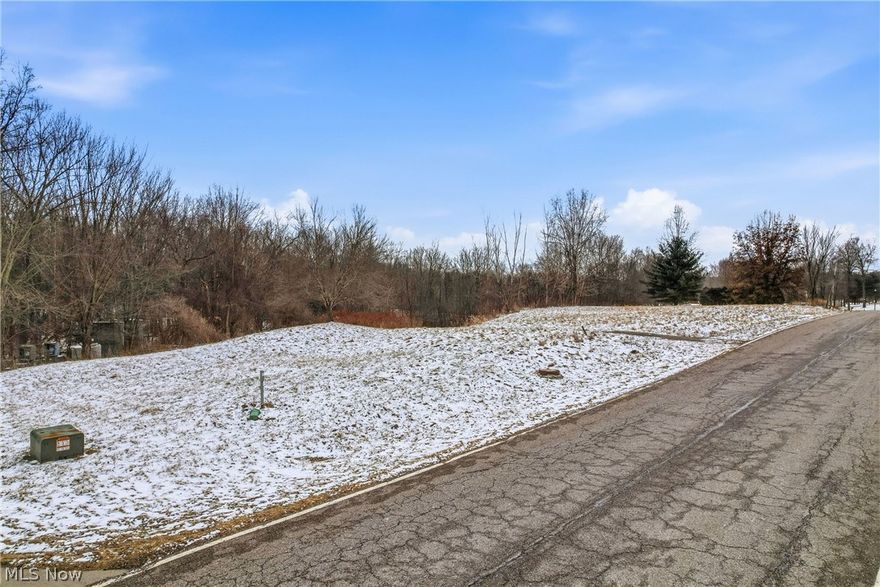 Large building lot with approximately 3+ acres. Features underground utilities , including city(public) water & public sewer. Conveniently located near Warren, Niles, Newton Falls, Mineral Ridge, and Austintown (Mahoning County) areas. Ideale local to build your dream home . Located in the Brookhollow Development.
