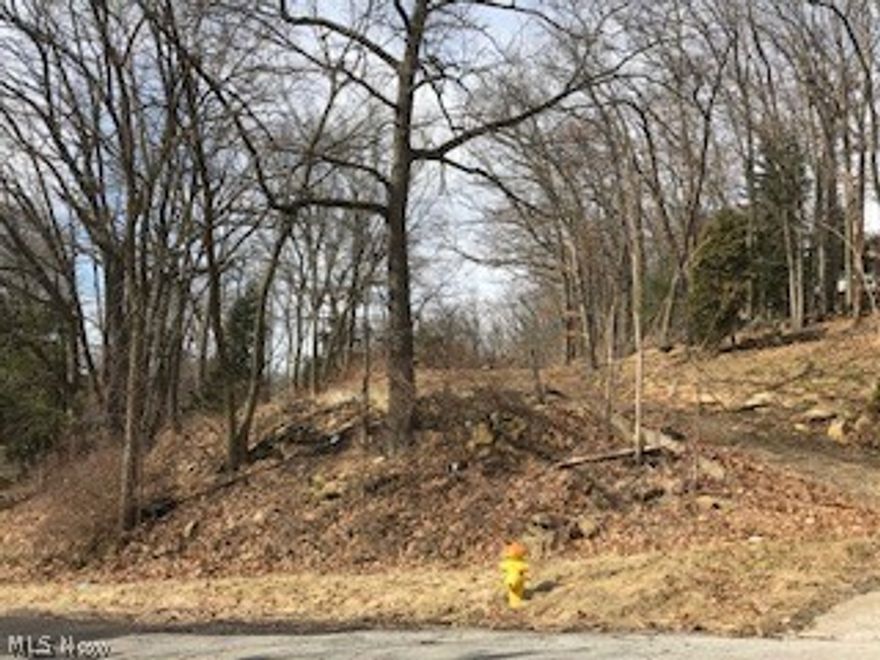 Opportunity knocks!   10 parcels .... (9 lots plus driveway) on appx 1.2 acres  in Goodyear Heights---perfect for  single family homes. 

To be sold as entire package--will not sell separately.

Community Reinvestment Area Residential Tax Abatement Program available on new construction for 15 year term.

Call agent for details.