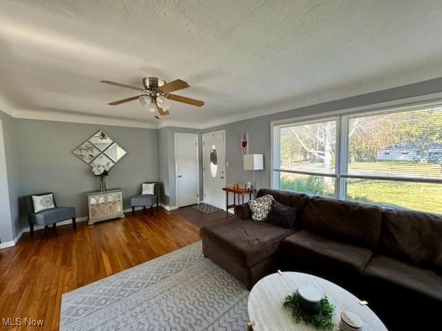 Parradise Allotment - Residential