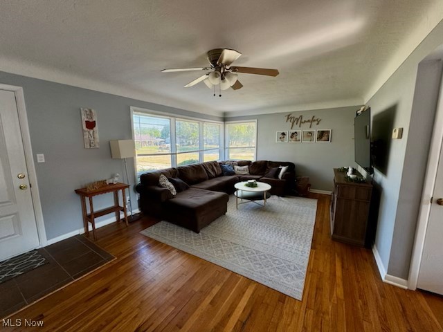 Parradise Allotment - Residential