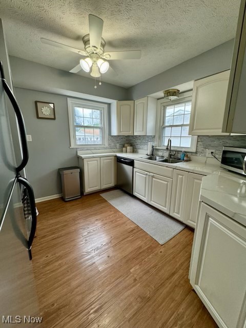 Parradise Allotment - Residential