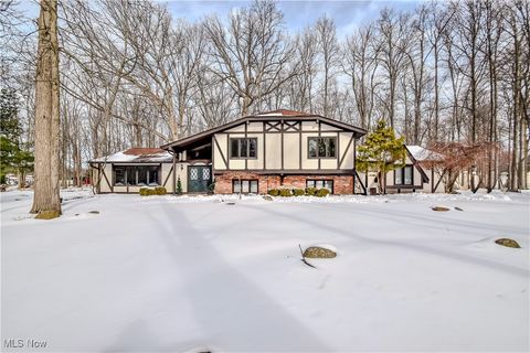 29247 Willow Lane, Willoughby Hills, OH 44092 - #: 5100930