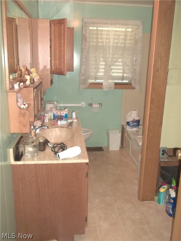 Main image without alt text