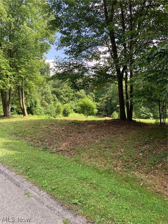 Ready to build! This property offers 5 lots at the beautiful Lake Tomahawk. The Land has been perk tested and approved for a new
system. The lots are cleared and also accessible from 9011 Sarsi Cove