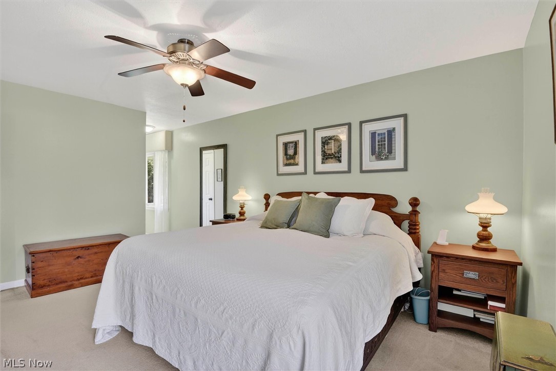 Co-Moor Colony Sec 04 - Residential