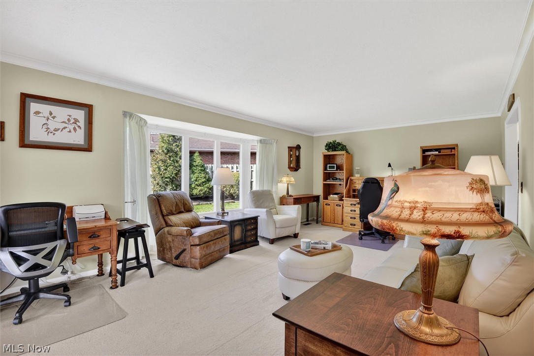 Co-Moor Colony Sec 04 - Residential