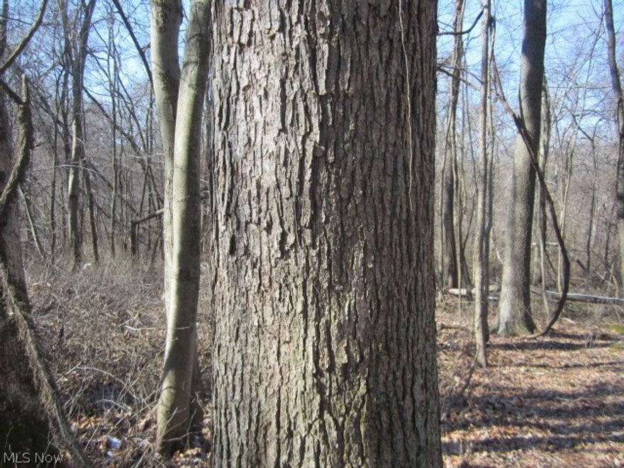 Almost 40 totally wooded acres. Mature woods with hardwood timber. Already set up for hunting, pine woodlot in middle of property, long trail driveway through the middle. Easy access and easy hunting. Many sites for foodplots, lots of oaks/acorns, water, lots of bedding areas, trails crisscross. This is ideal for hunting/recreation. Mineral rights transfer. Shared entrance driveway 150 feet. 8 minutes NW of Warsaw, Coshocton County.