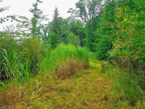 Tiny photo for River Road, Warren, OH 44483 (MLS # 5240319)