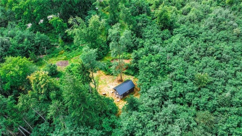 Tiny photo for River Road, Warren, OH 44483 (MLS # 5240319)