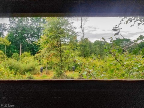 Tiny photo for River Road, Warren, OH 44483 (MLS # 5240319)