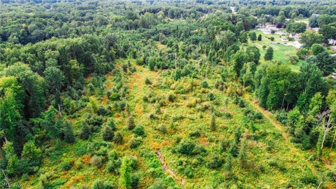 Tiny photo for River Road, Warren, OH 44483 (MLS # 5240319)