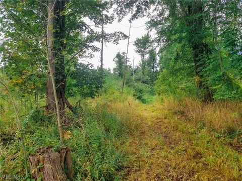 Tiny photo for River Road, Warren, OH 44483 (MLS # 5240319)