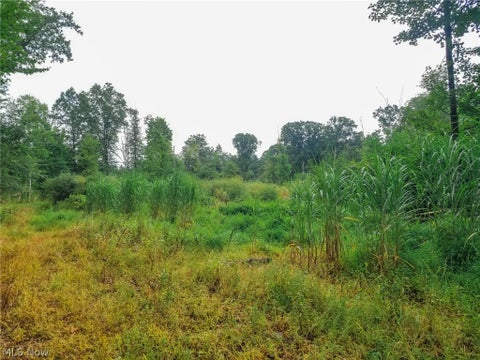 Tiny photo for River Road, Warren, OH 44483 (MLS # 5240319)