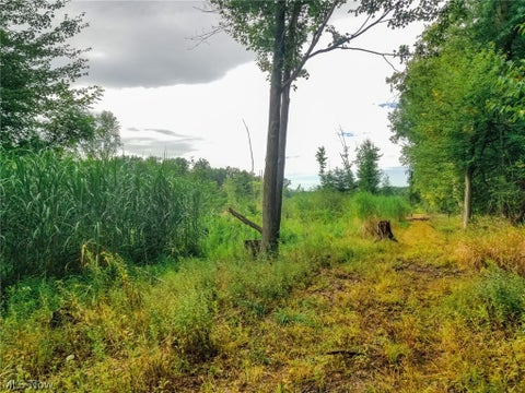 Tiny photo for River Road, Warren, OH 44483 (MLS # 5240319)