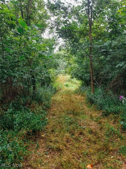 Tiny photo for River Road, Warren, OH 44483 (MLS # 5240319)