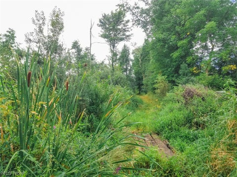 Tiny photo for River Road, Warren, OH 44483 (MLS # 5240319)