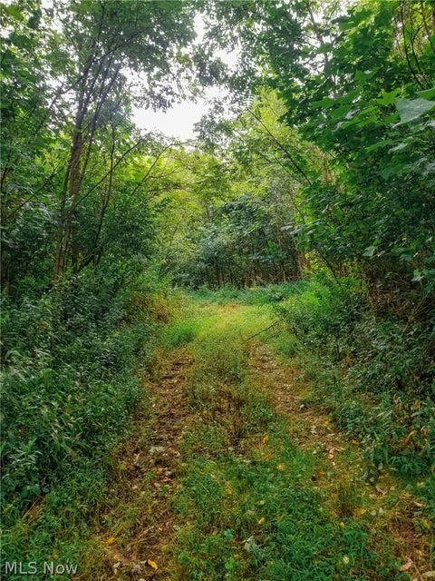 Tiny photo for River Road, Warren, OH 44483 (MLS # 5240319)