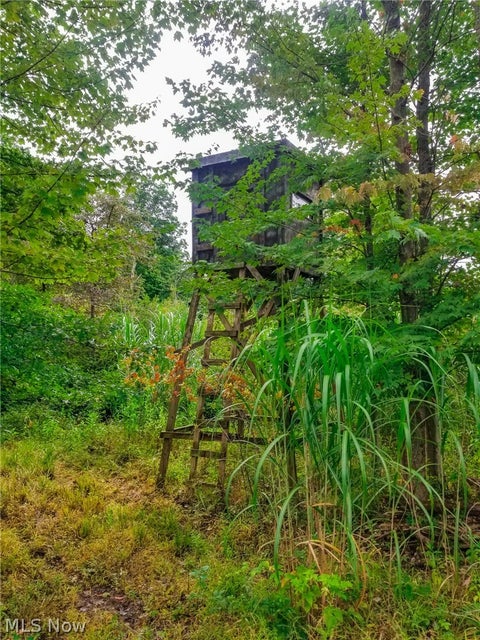 Tiny photo for River Road, Warren, OH 44483 (MLS # 5240319)