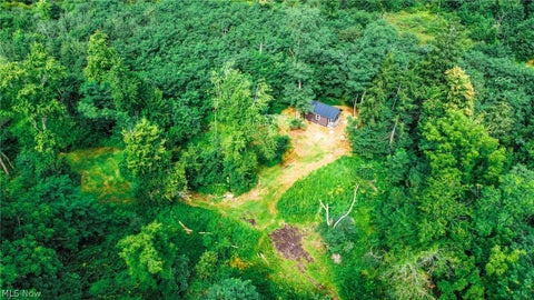 Tiny photo for River Road, Warren, OH 44483 (MLS # 5240319)
