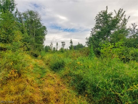 Tiny photo for River Road, Warren, OH 44483 (MLS # 5240319)