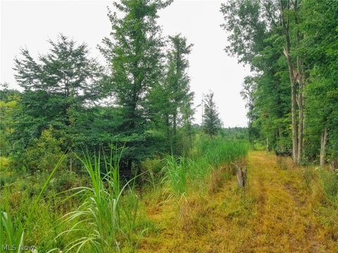 Tiny photo for River Road, Warren, OH 44483 (MLS # 5240319)