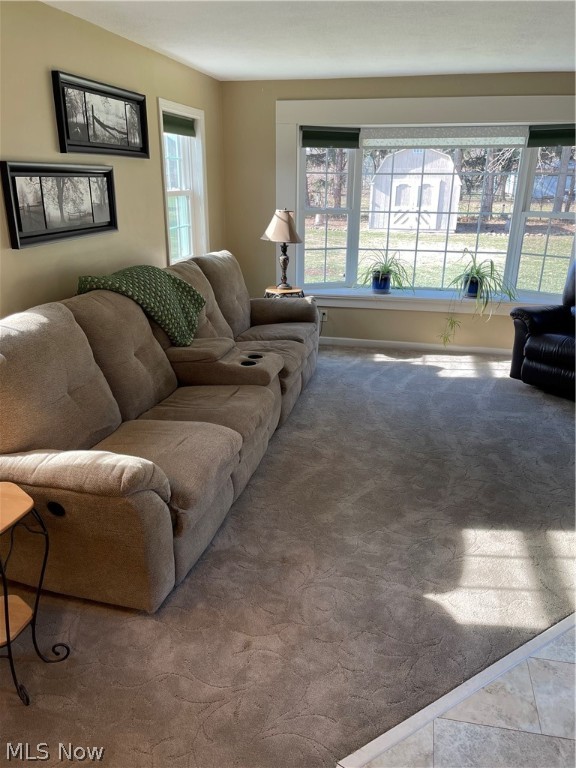 Lone Linden Estates - Residential