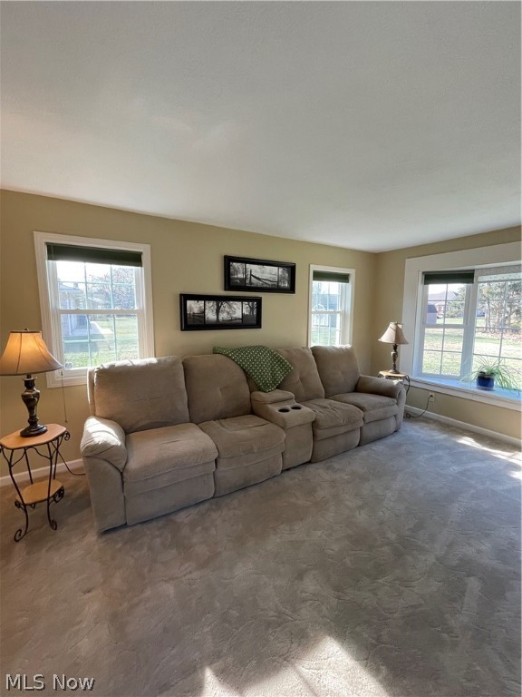 Lone Linden Estates - Residential