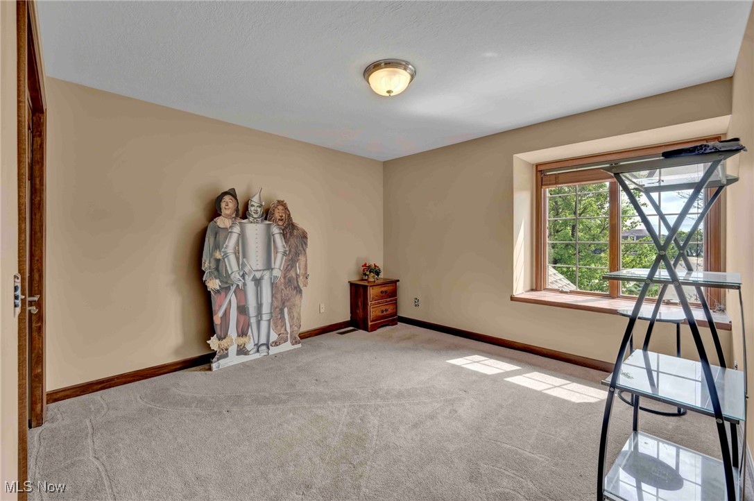7117 Willowlane Avenue, Massillon, Ohio image 23