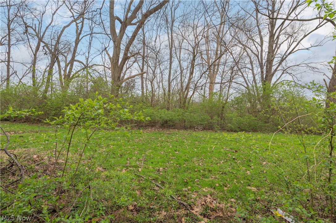 Cail Raus Harvard Ave Allo - Residential Income