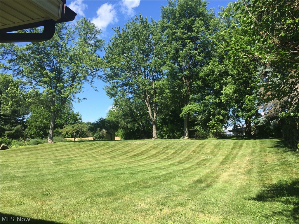 Song Bird - Residential