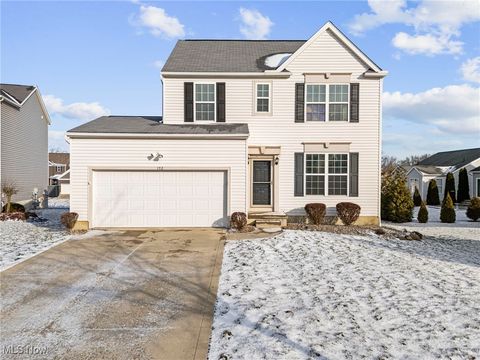 172 Stockwell Court Wadsworth OH 44281