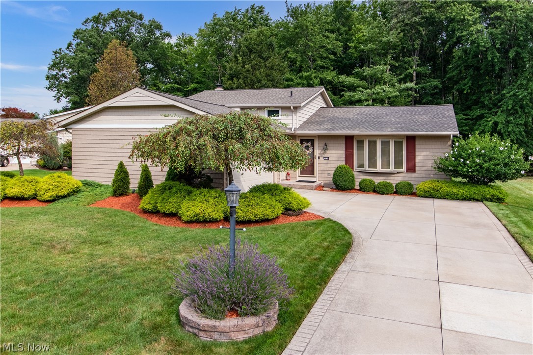 Echo Lake 02 - Residential