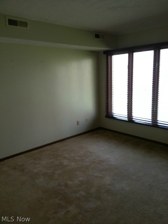 Lofts Condo - Residential