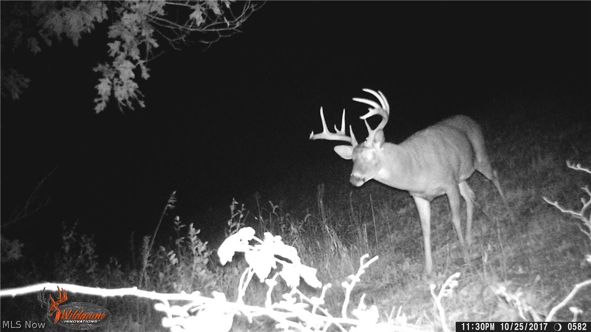 Zimmerman Farm Sub - Land