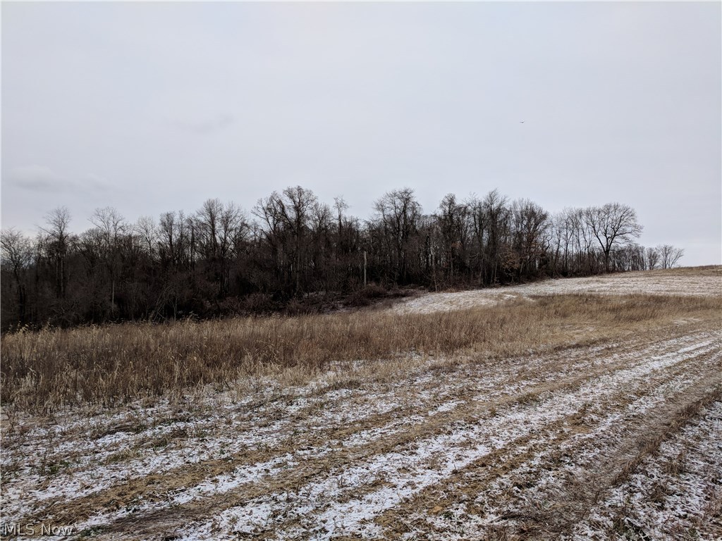 Zimmerman Farm Sub - Land