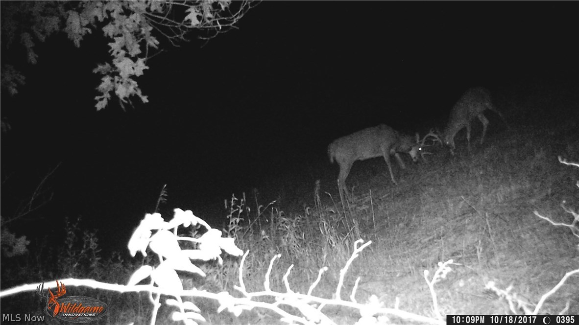 Zimmerman Farm Sub - Land