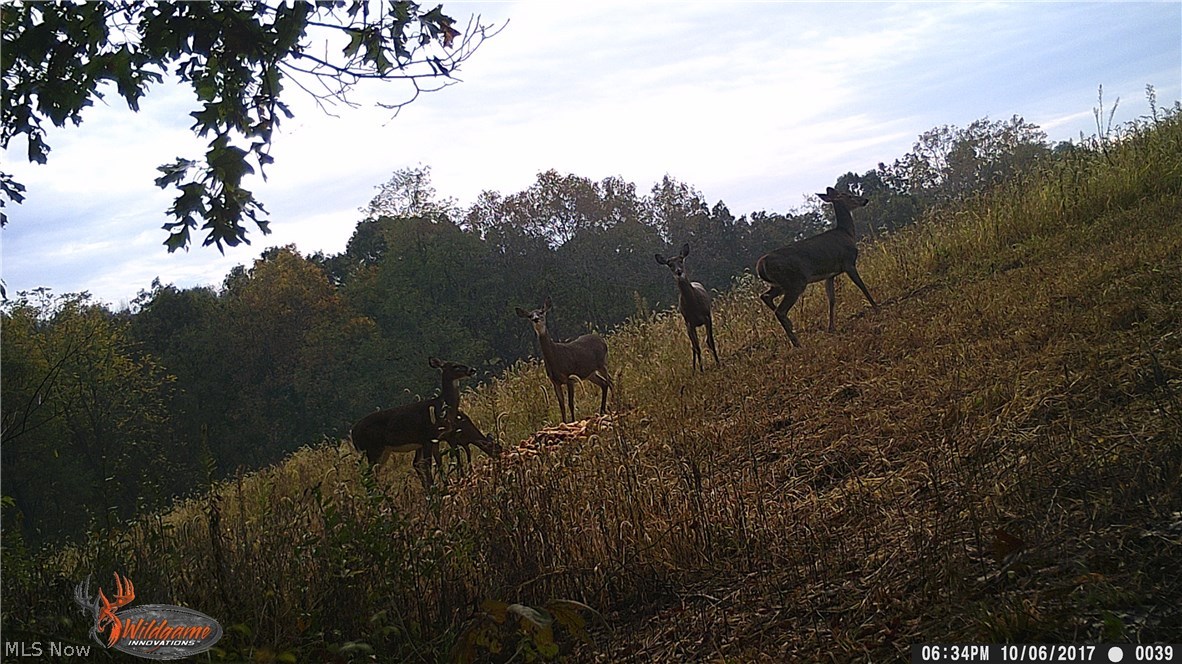 Zimmerman Farm Sub - Land