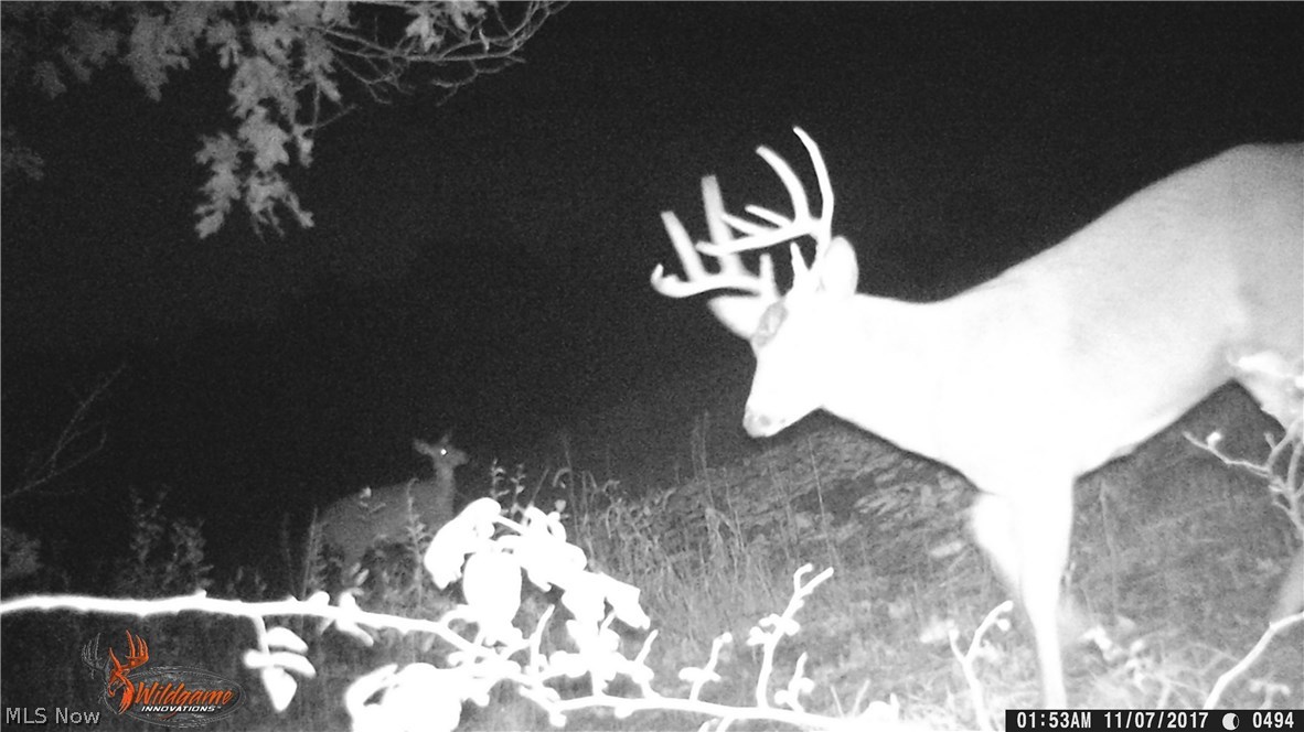 Zimmerman Farm Sub - Land