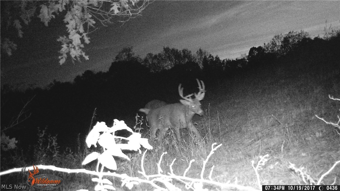 Zimmerman Farm Sub - Land