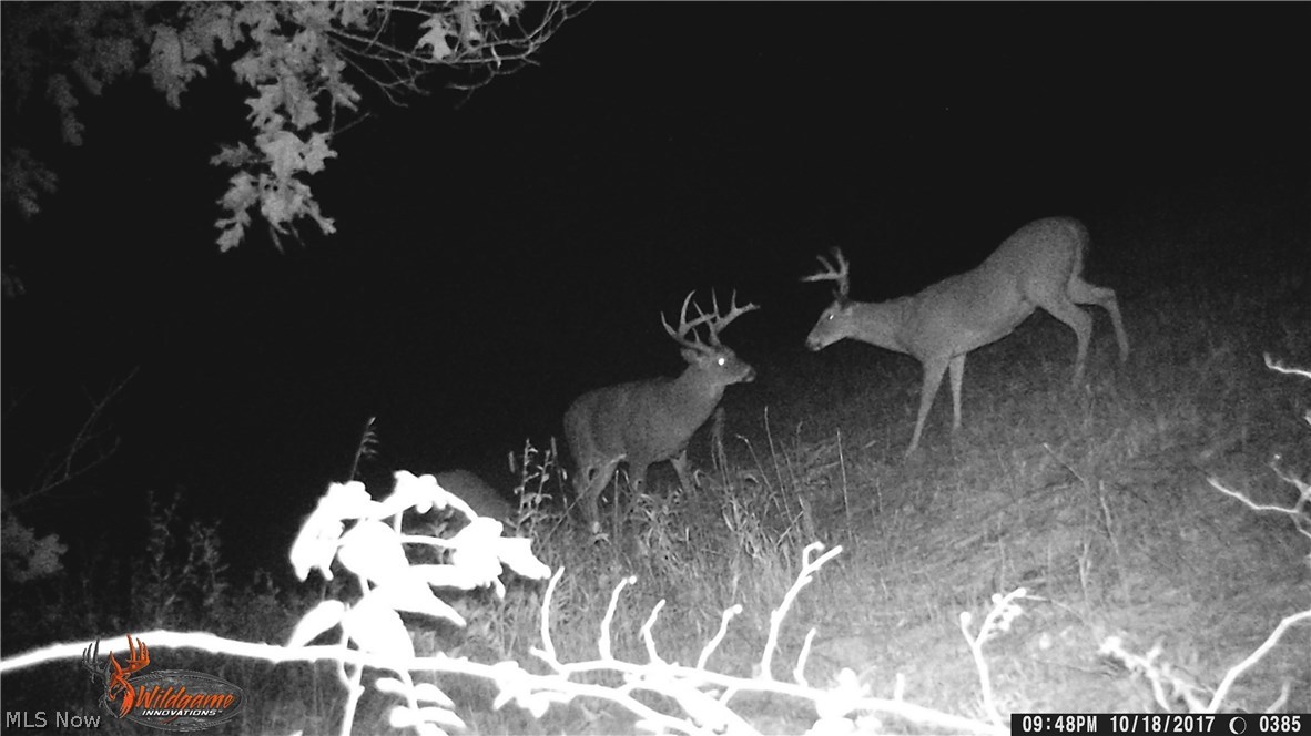 Zimmerman Farm Sub - Land