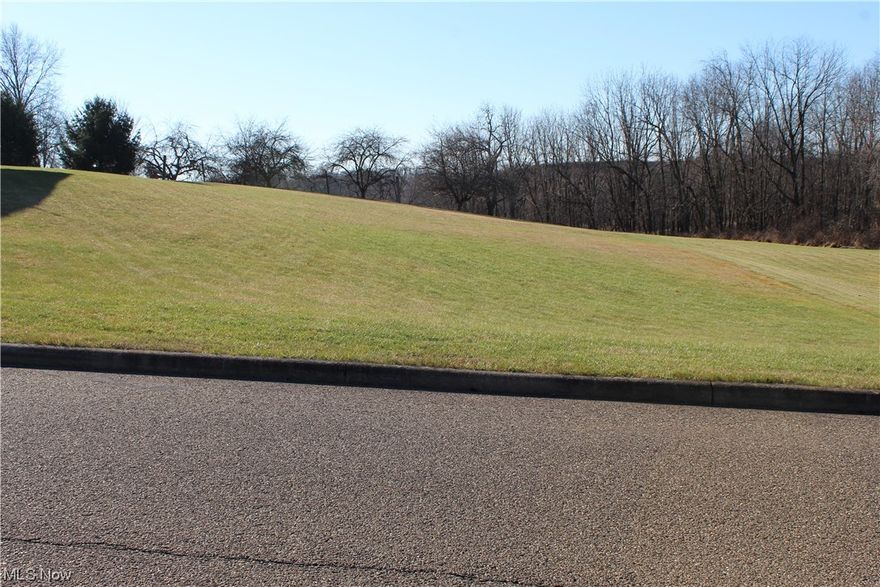 ONLINE ONLY AUCTION BEGINS ENDING JAN 16TH 2024 AT 5:00PM 
Up for auction is a building lot just outside the Firman Ridge allotment with city utilities available. Bring your building plans for this one. Total acreage subject to final survey. WILL BE OPEN FOR BIDS STARTING JANUARY 1ST 10AM 2024.