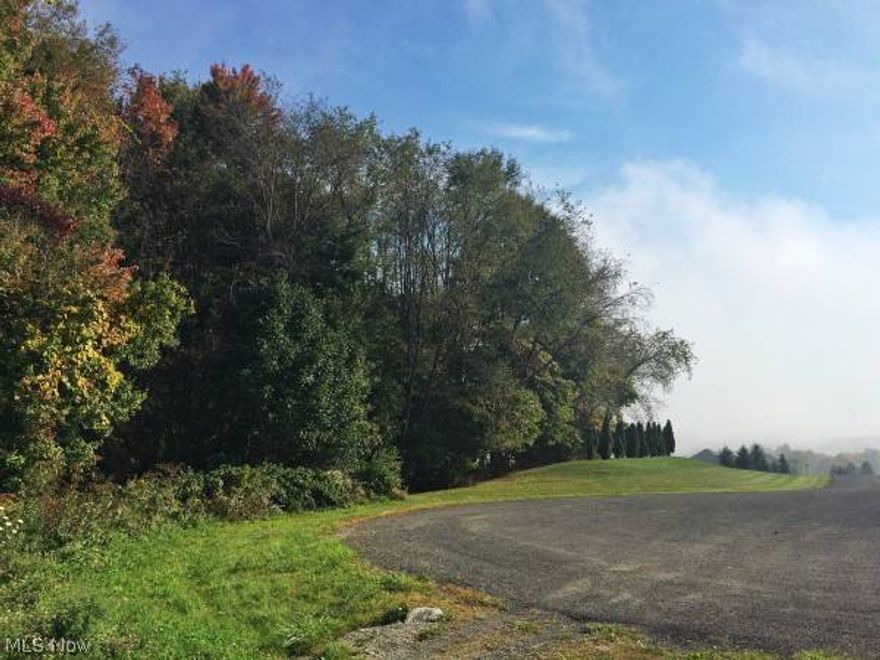 Are you looking to build in Wadsworth? Don't consider breaking ground until you have seen what this lot has to offer! This 3.21 acre, partially wooded lot is located at the end of a quiet cul-de-sac in the beautiful Silver Creek Estates. Enjoy a tranquil, scenic setting in an attractive Wadsworth neighborhood while still having the convenience of major highway access. On the doorstep of Silver Creek Metro Park, come see one of the most attractive spots to build your dream home.