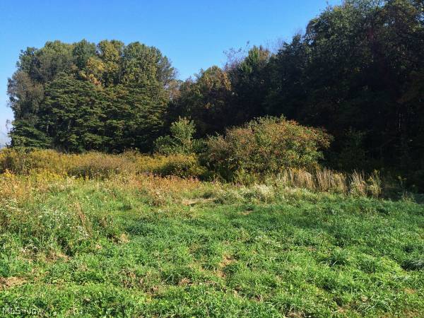 Silver Creek Estate - Land