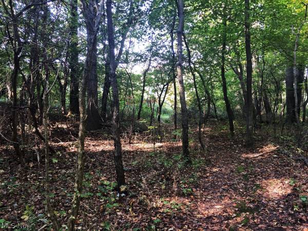 Silver Creek Estate - Land