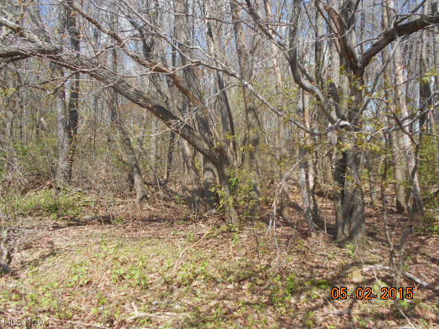 Silver Creek Estate - Land