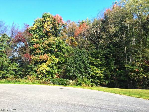 Silver Creek Estate - Land